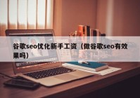 谷歌seo优化新手工资（做谷歌seo有效果吗）