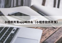 小程序开发app叫什么（小程序软件开发）