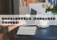 郑州微信小程序开发公司（郑州微信小程序制作培训哪里有）