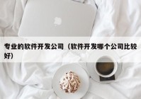 专业的软件开发公司（软件开发哪个公司比较好）