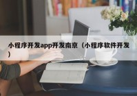 小程序开发app开发南京（小程序软件开发）